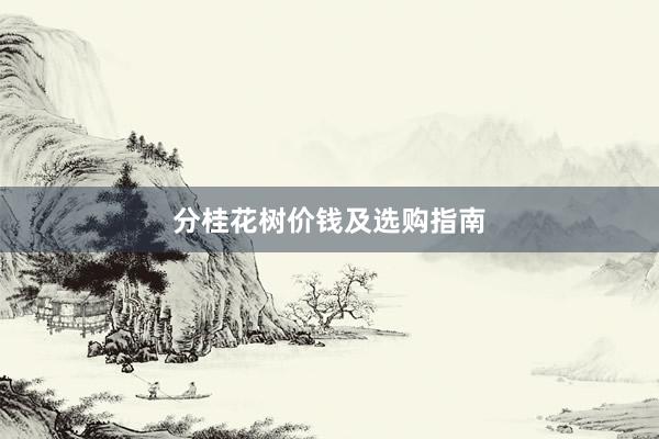 分桂花树价钱及选购指南