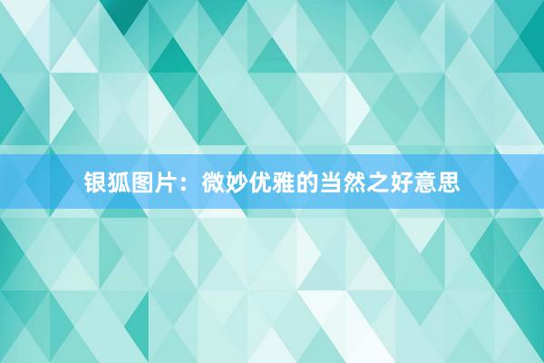 银狐图片：微妙优雅的当然之好意思