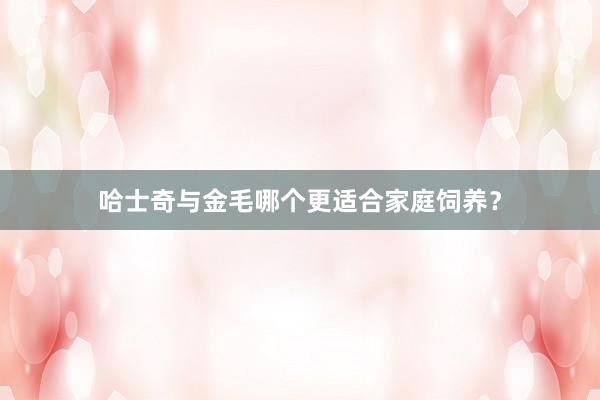 哈士奇与金毛哪个更适合家庭饲养?