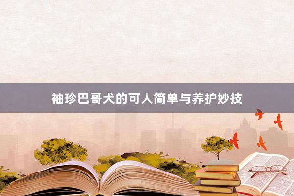 袖珍巴哥犬的可人简单与养护妙技