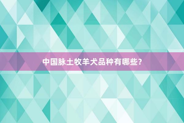中国脉土牧羊犬品种有哪些？