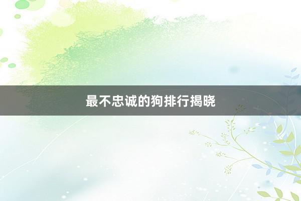 最不忠诚的狗排行揭晓